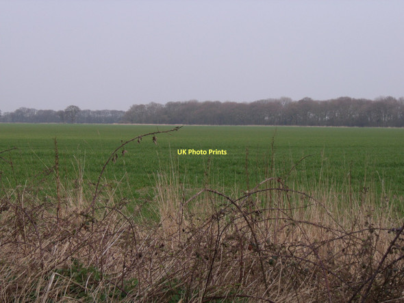 Photo 6"x4" Farmland off Moor Lane Barlby c2011