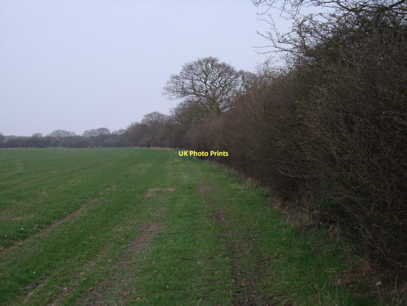 Photo 6"x4" Farm track near Osgodby Osgodby\/SE6433 c2011
