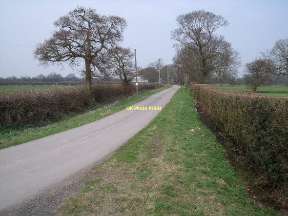 Photo 6"x4" Track to Nevithorne South Duffield c2011