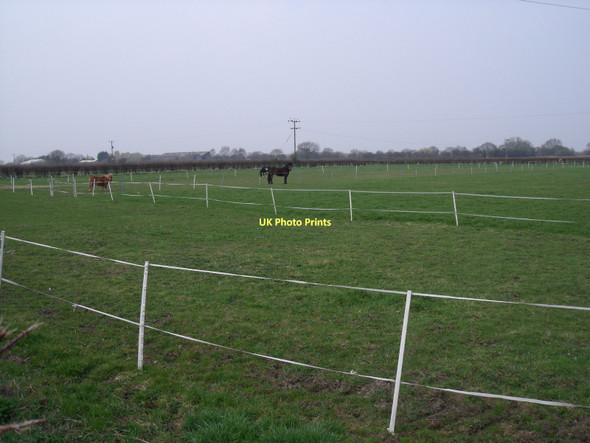 Photo 6"x4" Grazing land near Nevithorne South Duffield c2011