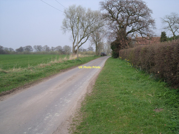 Photo 6"x4" Dyon Lane towards Menthorpe South Duffield c2011