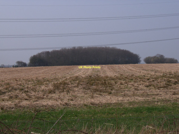 Photo 6"x4" Intake Plantation Wressle\/SE7131 c2011