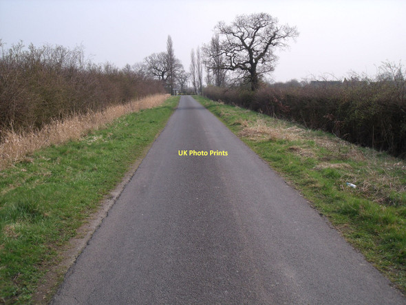 Photo 6"x4" Brind Lane Brind c2011
