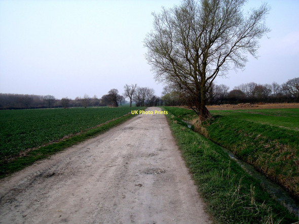 Photo 6"x4" Farm track near Owsthorpe Hive c2011