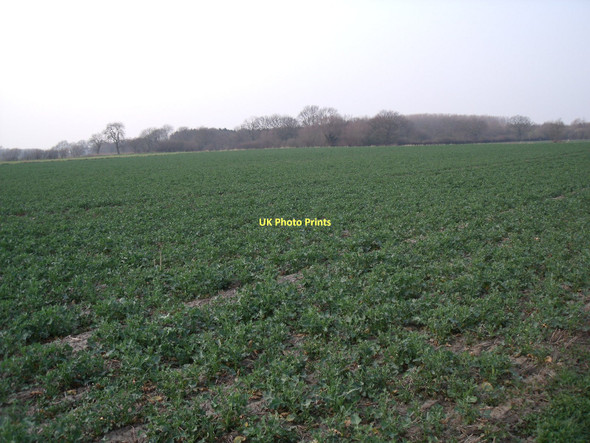 Photo 6"x4" Farmland near Owsthorpe Hive c2011