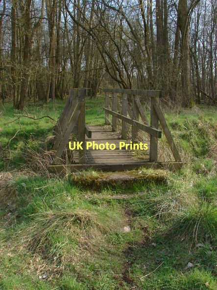 Photo 6"x4" Woods near Hookstone Farm Brook Place\/SU9561 c2011