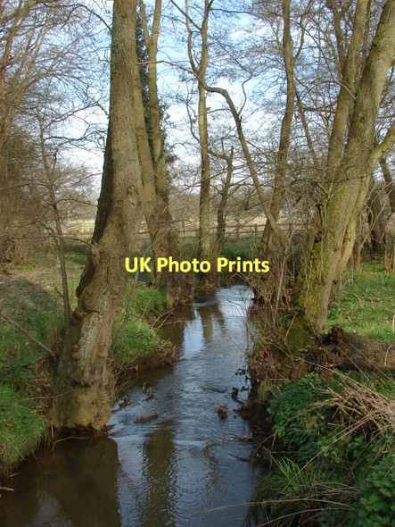 Photo 6"x4" The Hale Bourne Brook Place\/SU9561 c2011 P1