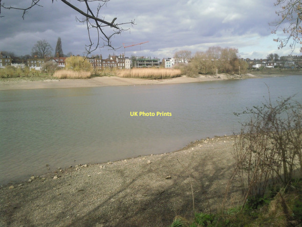 Photo 6"x4" Chiswick Eyot across the River Thames Hammersmith\/TQ2279 c2011