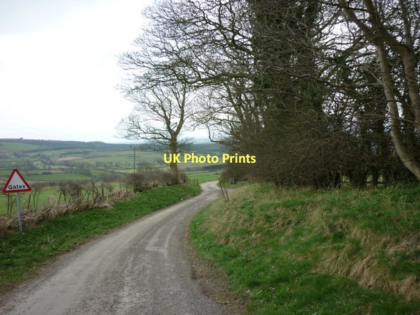 Photo 6"x4" Gatehowe Road towards Hanging Grimston Acklam\/SE7861 c2011