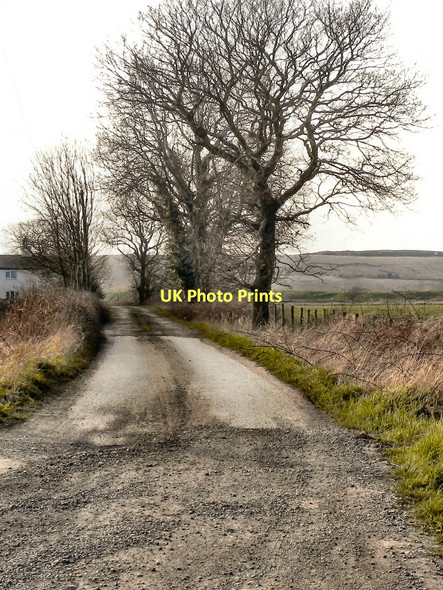 Photo 6"x4" Prospect Lane, Rixton Moss Rixton c2011