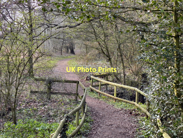 Photo 6"x4" Rixton Claypits Rixton c2011