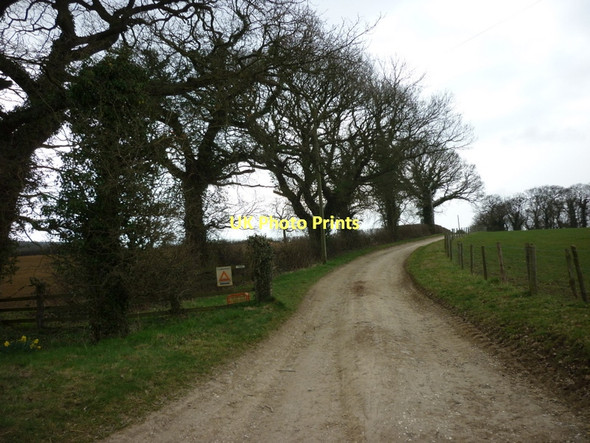 Photo 6"x4" The way to Primrose Hill (farm) Bugthorpe c2011
