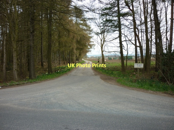 Photo 6"x4" The way to Low Moor Farm Sand Hutton c2011