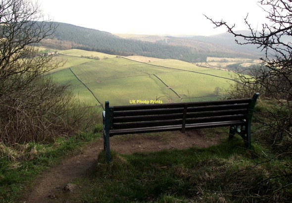 Photo 6"x4" Seat with a view Langley\/SJ9471 c2011