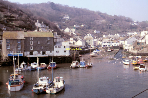 Photo 6"x4" Polperro - 1987 Polperro c1987