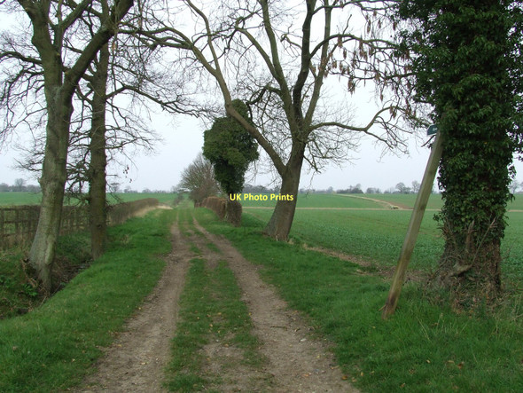 Photo 6"x4" Dunhill Lane Market Weston c2011 P1