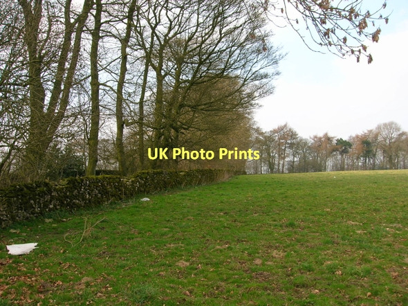 Photo 6"x4" Edge of Copse near Calling Low Middleton\/SK1963 c2011