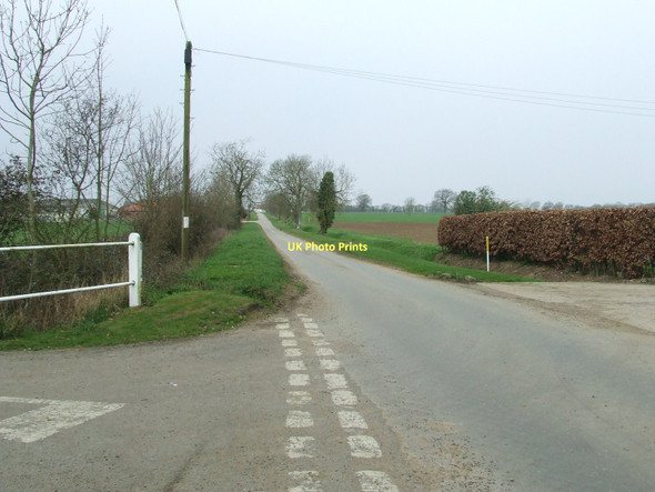 Photo 6"x4" New Common Road Bobby Hill c2011