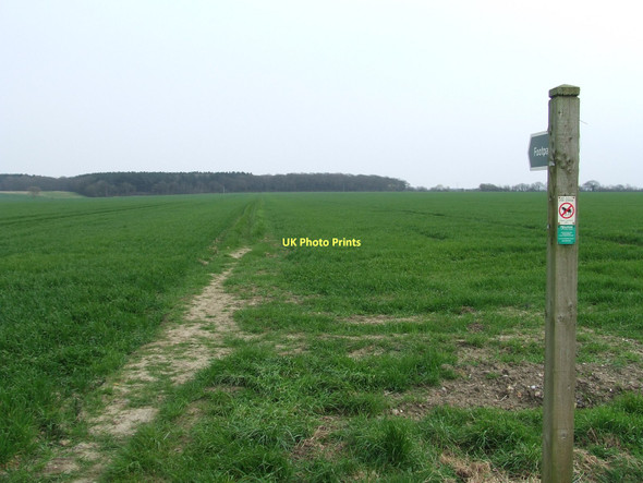 Photo 6"x4" Footpath To Brockley Wood Bobby Hill c2011