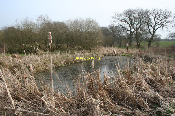 Photo 6"x4" Pond near River Gowy Huxley c2011