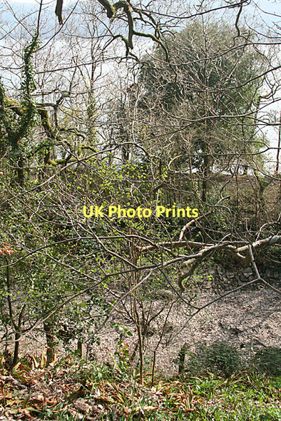 Photo 6"x4" Brixton: above the old Yealmpton branch Bridgend\/SX5548 c2011