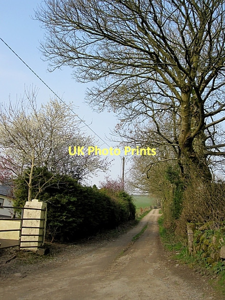 Photo 6"x4" Country Lane Dungarvan\/S6148 c2011