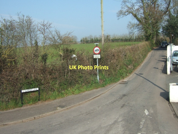 Photo 6"x4" Summer Lane Exmouth c2011
