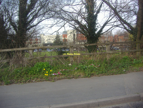 Photo 6"x4" Verge on Windsor Road Egham c2011