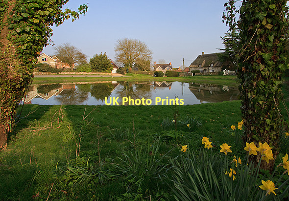 Photo 6"x4" Ashmore pond Ashmore\/ST9117 c2011