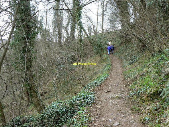 Photo 6"x4" Climbing the height Matlock c2011