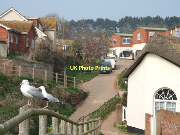 Photo 6"x4" Ladram Bay Holiday Park; permanent buildings North Star c2011