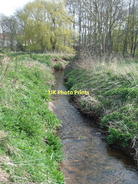 Photo 6"x4" Stream joining River Otter North Star c2011