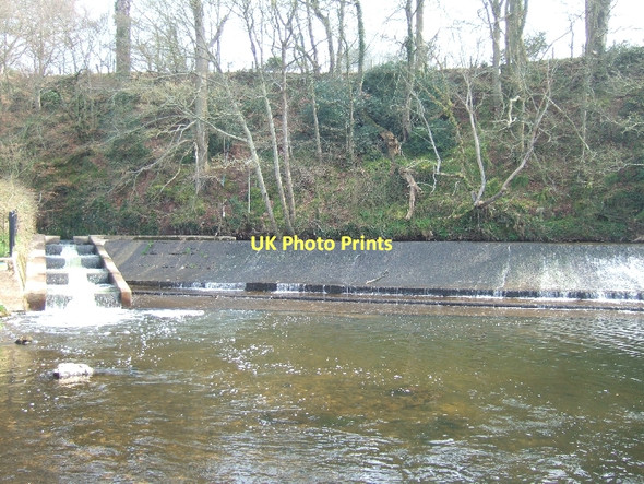 Photo 6"x4" Fish ladder on the River Otter North Star c2011