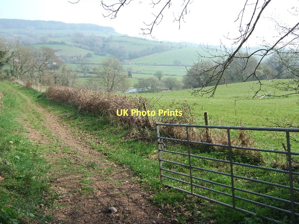 Photo 6"x4" Farmtrack and the Otter valley Colaton Raleigh c2011