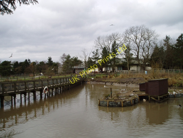 Photo 6"x4" Palacerigg Country Park Cumbernauld c2006
