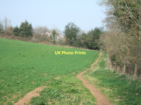 Photo 6"x4" The southern edge of Newton Poppleford Newton Poppleford c2011