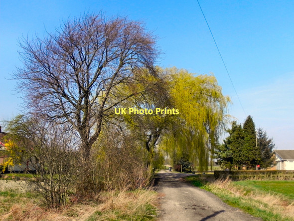Photo 6"x4" Moss Road Glazebrook c2011 P1