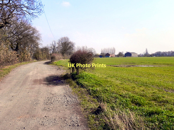 Photo 6"x4" Farmland, Glazebrook Moss Gorse Covert\/SJ6692 c2011