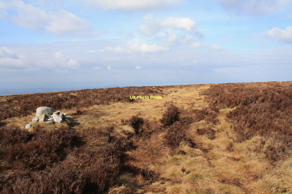 Photo 6"x4" Summit of Black Hill Malleny Mills c2011