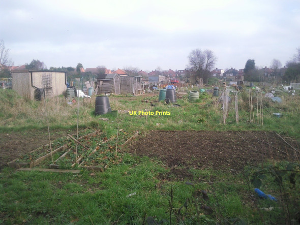 Photo 6"x4" Hounslow Avenue Allotments Hounslow c2011