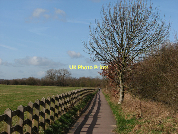Photo 6"x4" Path to Coton on a spring morning High Cross\/TL4259 c2011