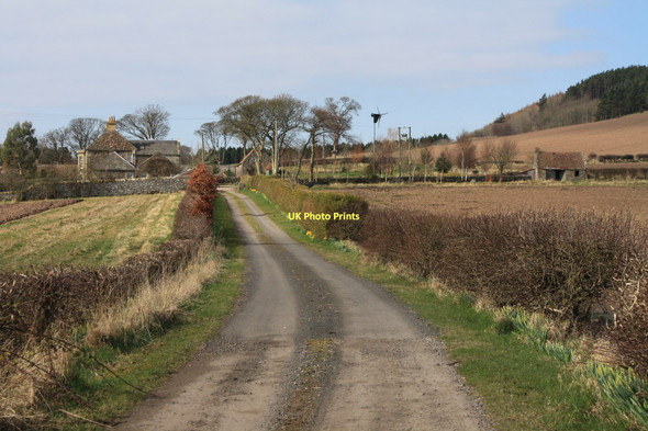 Photo 6"x4" To The Mount Moonzie c2011