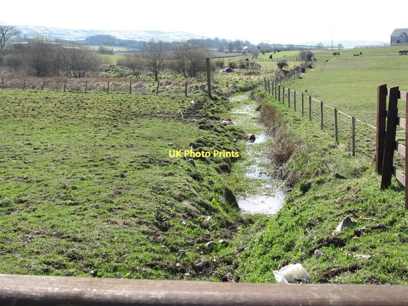 Photo 6"x4" Drainage ditch in wetland south of the Island Moyle Road Kilcoo c2011