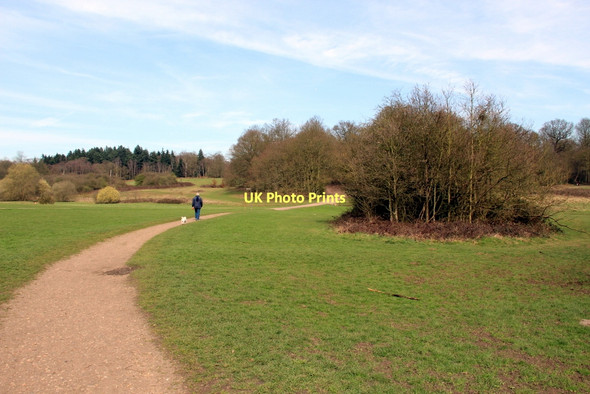 Photo 6"x4" Footpath, Trent Park, London N14 Cockfosters c2011