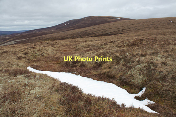 Photo 6"x4" Moorland, Cromdale Hills An Sg\u00f2ran c2011