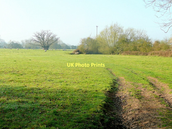 Photo 6"x4" Severn floodplain 1 Chaceley c2011