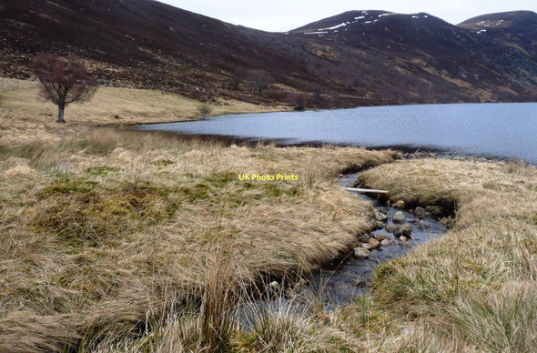 Photo 6"x4" The Gardener's cottage burn reaches Loch Glass Corravachie c2011