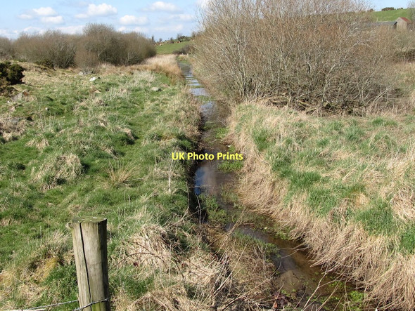 Photo 6"x4" Drainage ditch in the bog on the west side of Close Road Ballyward c2011