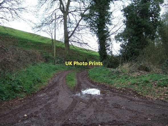 Photo 6"x4" Farm track to Westacott Barton Venny Tedburn c2011