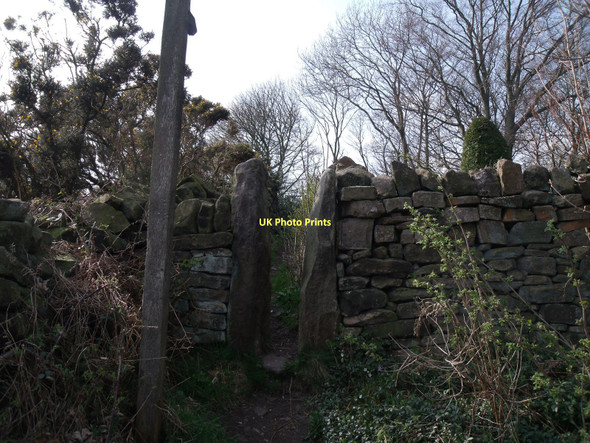 Photo 6"x4" Footpath, Littlemoor Dalebank\/SK3661 c2011